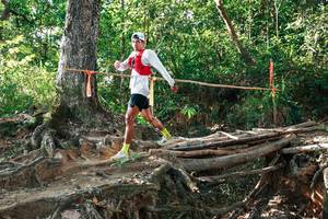 BIB: 
                            <button type="button" onclick="openModal(27553335)" class="btn btn-primary btn-sm float-right btn-popup" data-toggle="modal" data-target=".modal-high-quality">
                        <i class="fas fa-shopping-cart"></i> Add to Cart
                    </button>
                                            <button type="button" onclick="isThisMe(27553335, true)" class="btn btn-success btn-sm float-right btn-popup btn-isme hidden" data-toggle="tooltip" data-placement="bottom" title="นี่คือรูปของคุณใช่ไหม คลิกที่นี่เพื่อเอาเข้าอัลบั้ม">
                        <i class="fas fa-plus"></i> Add to album
                    </button>
                    <button type="button" onclick="isThisMe(27553335, false)" class="btn btn-warning btn-sm float-right btn-popup btn-isnotme hidden">
                        <i class="fas fa-ban"></i> Remove from album
                    </button>